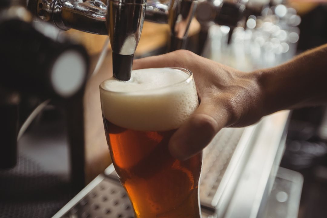 Curso de Cervejas Artesanais: Malte e Lúpulo
